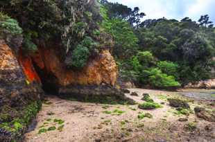 Shoreline of Tomales Bay-2398.jpg Shoreline of Tomales Bay-2398.jpg